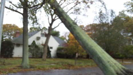 Hurricane Sandy
